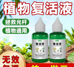 家庭养花用生根粉