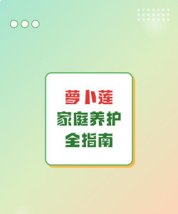 萝卜莲冬天怎么养