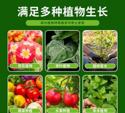 家庭养花用生根粉