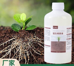 家庭养花用生根粉