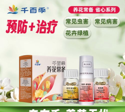 家庭养花用生根粉