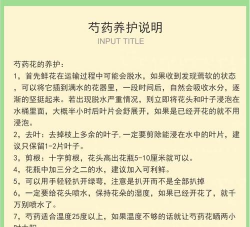 养花需要定期打药