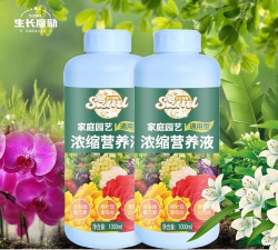 家庭养花用生根粉