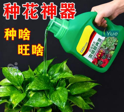 家庭养花用生根粉