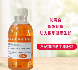 家庭养花用生根粉