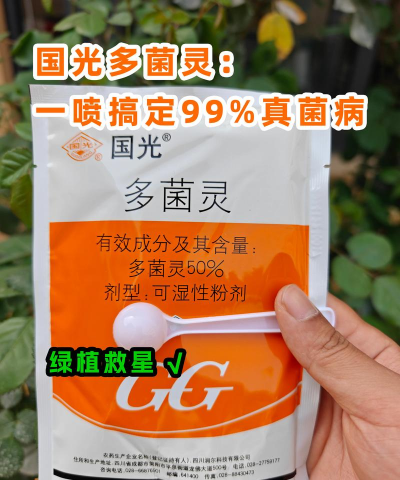 国光多菌灵怎么