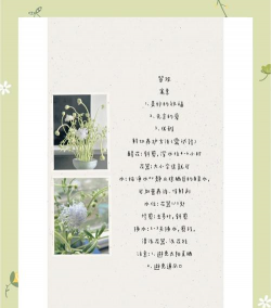 家庭养花用生根粉