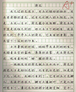 怎么写荷花的特征