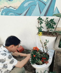 家庭养花用生根粉