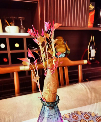 家庭养花用生根粉