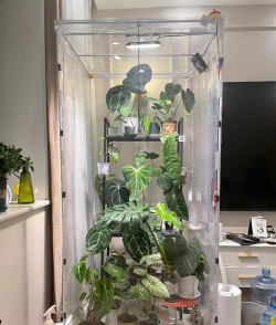 家庭养花用生根粉