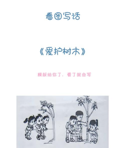 秋天栽树“五不宜” 秋天栽树“五不宜”