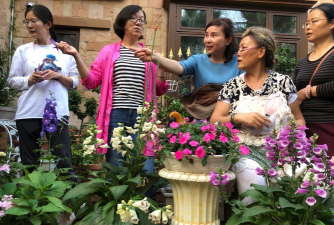 家庭养花用生根粉