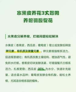 家庭养花用生根粉