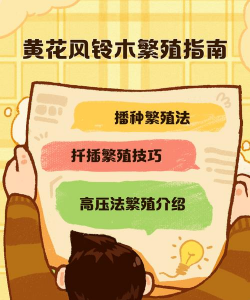 黄花风铃木怎么扦插