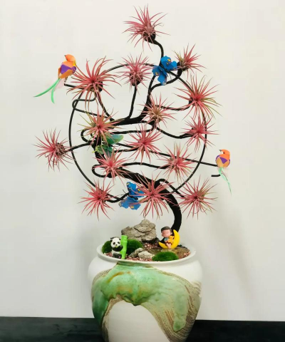 家庭养花用生根粉