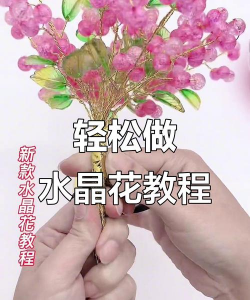 水晶花怎么插