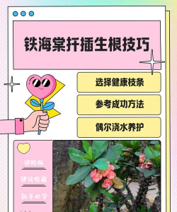 家庭养花用生根粉