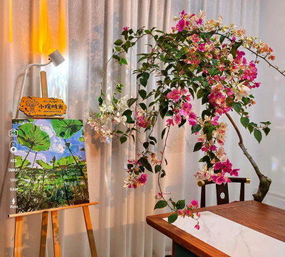 家庭养花用生根粉