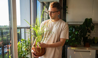 家庭养花用生根粉