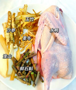 金边龙舌兰怎么炖鸭子