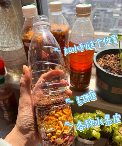 家庭养花用生根粉