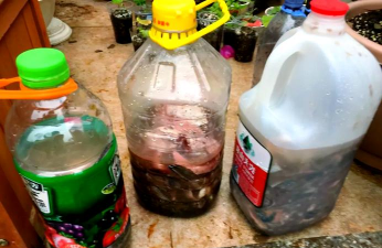 家庭养花用生根粉