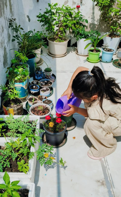 家庭养花用生根粉