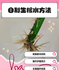 家庭养花用生根粉