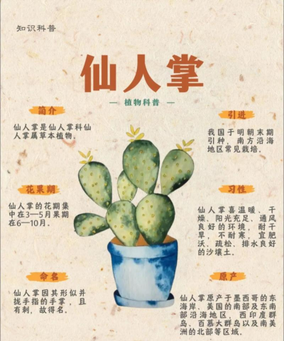 仙人掌怎么选择