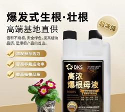 家庭养花用生根粉