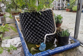 家庭养花用生根粉