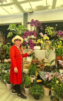 家庭养花用生根粉