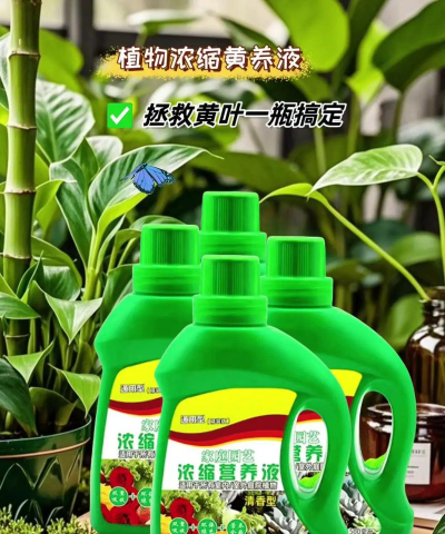 家庭养花用生根粉