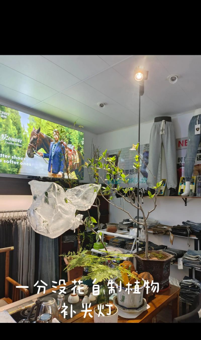 家庭养花用生根粉