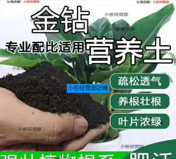 家庭养花用生根粉