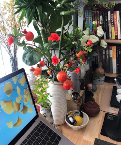 家庭养花用生根粉