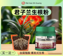 家庭养花用生根粉