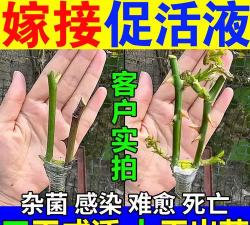 家庭养花用生根粉