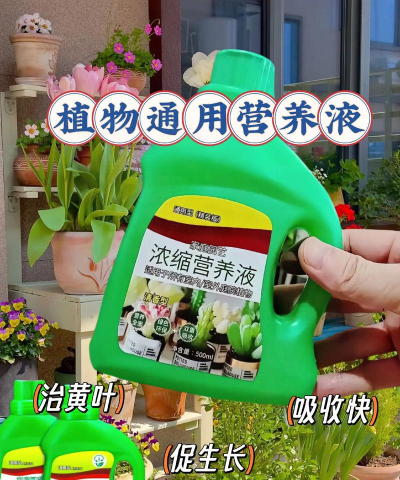 家庭养花用生根粉