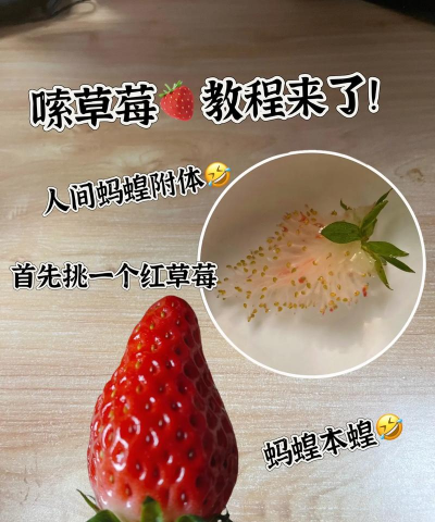 不玩草莓了怎么办