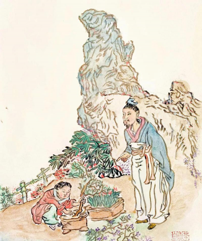 家庭养花用生根粉