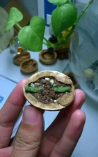 子弹壳可以养花