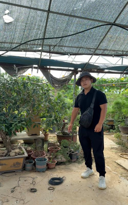 家庭养花用生根粉