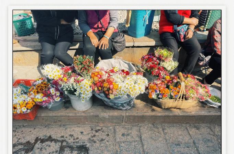 丽江花市卖什么