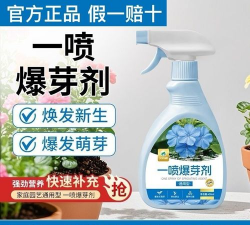 家庭养花用生根粉