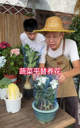 家庭养花用生根粉