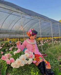 家庭养花用生根粉