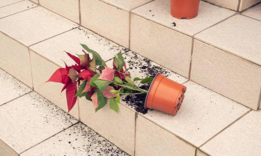 业主高台养花坠落