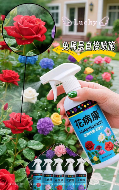 家庭养花用生根粉